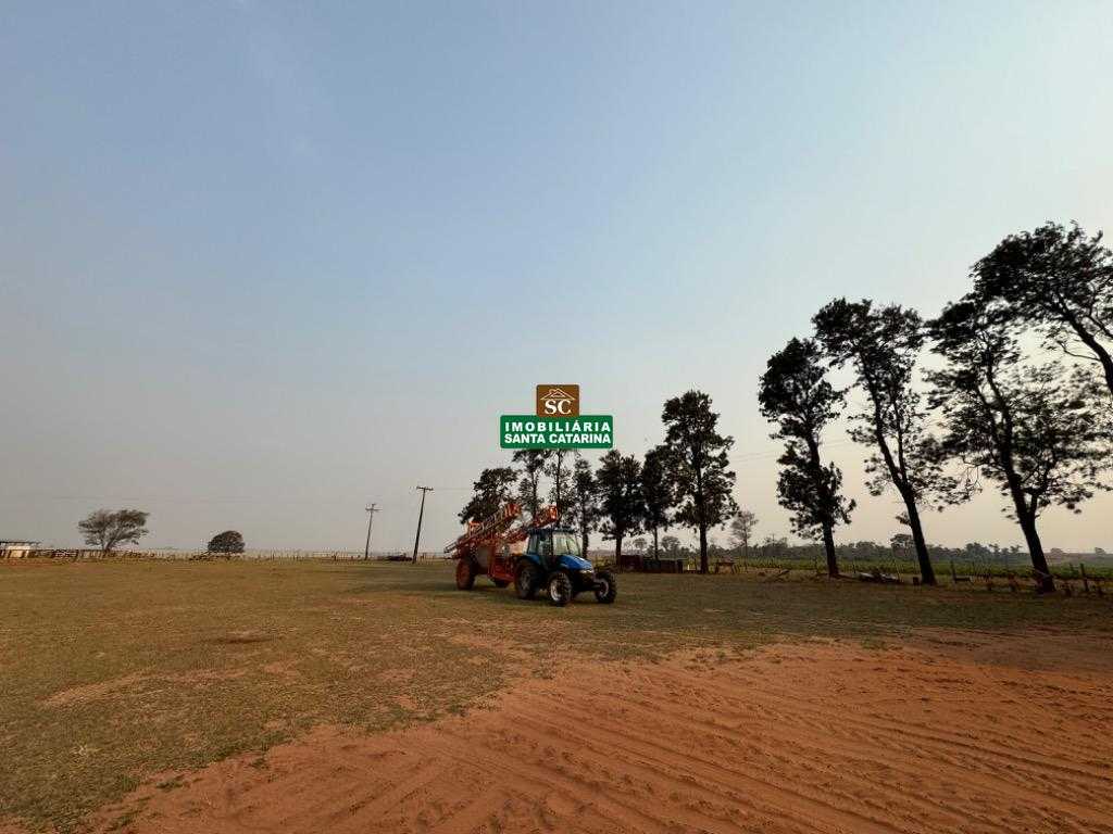 Foto do Imóvel Fazenda para venda em Naviraí, Centro, com 3 quartos (1 suíte)
