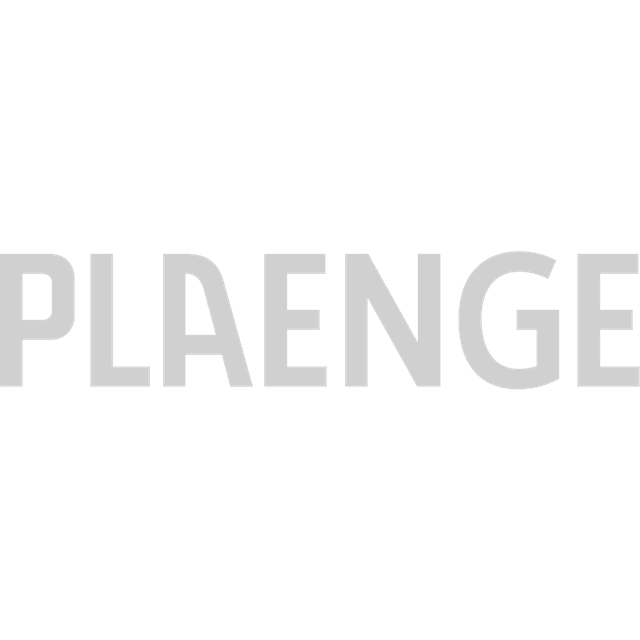 Plaengelogo.